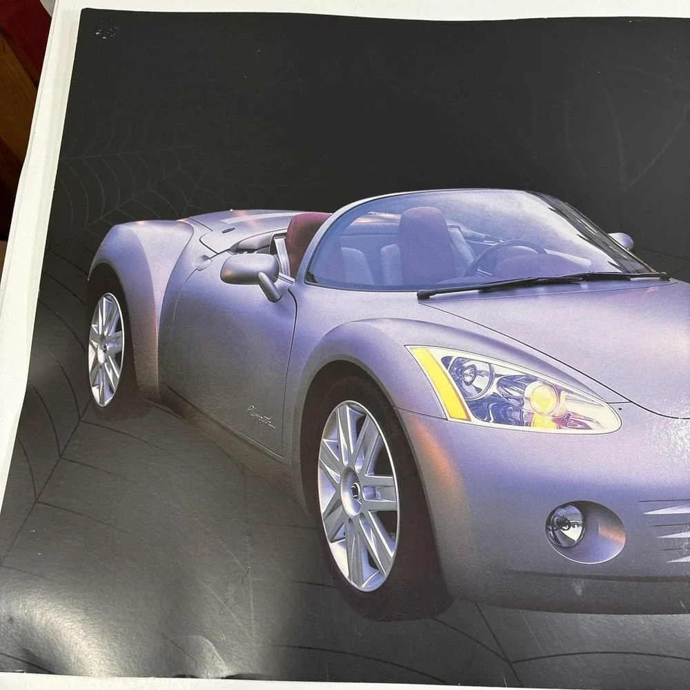1999 Ron Kimball Spyder Photo Print Poster with Web Background. Rare 24x18